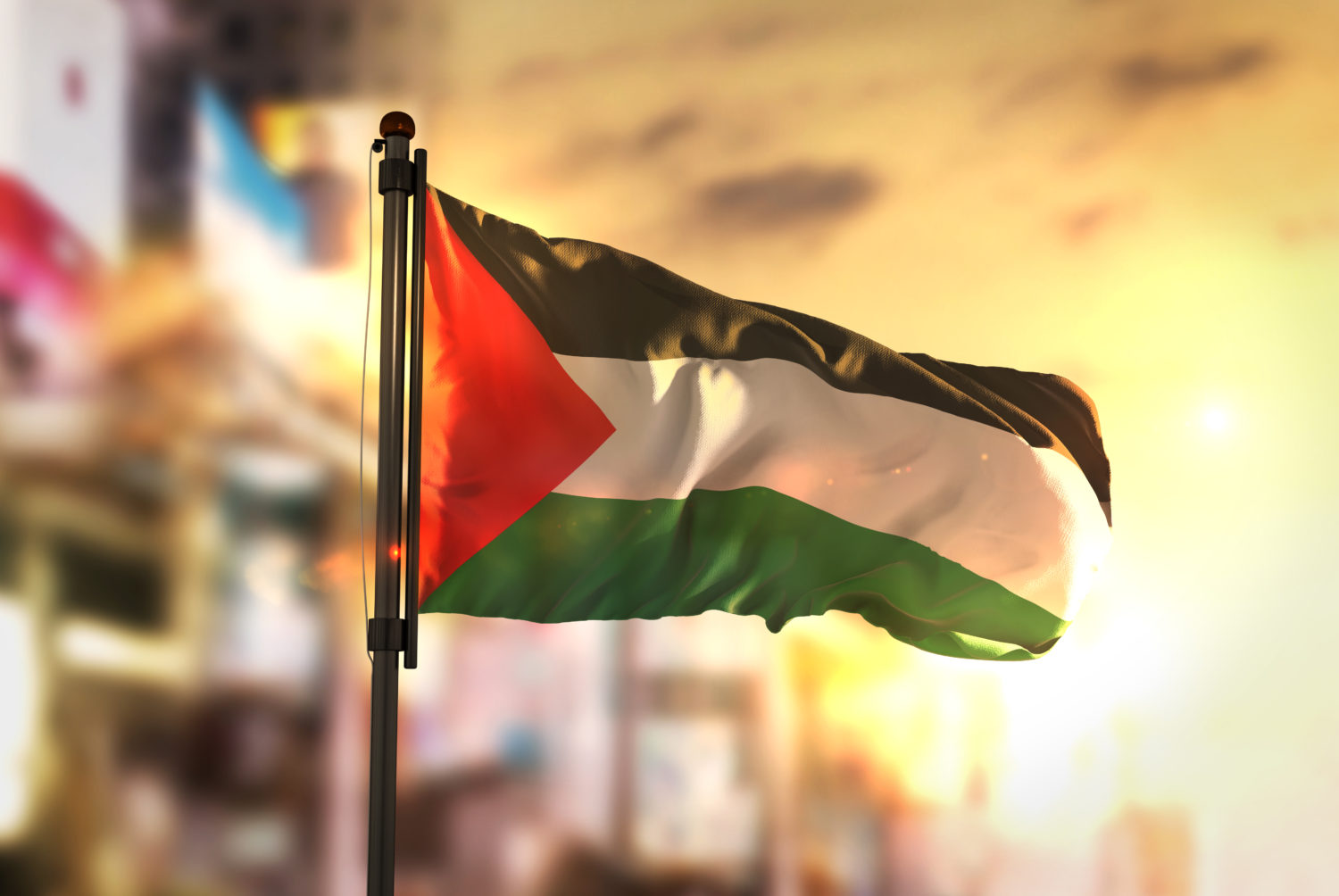 Palestine Flag Against City Blurred Background At Sunrise Backlight