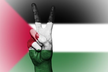 Palestine  : la France doit agir pour une paix juste, complète et permanente !