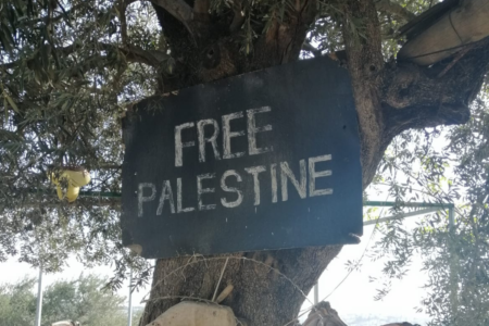 Raid à Naplouse et expédition punitive : la colonisation israélienne tue de nouveau en Palestine !