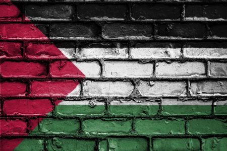Palestine : expédition punitive à Jenine !